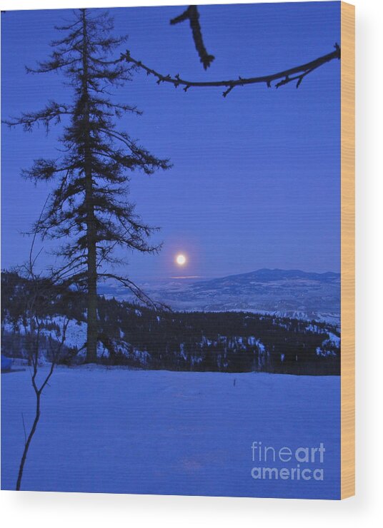  Wood Print featuring the photograph Silver-Blue Moon by KD Johnson