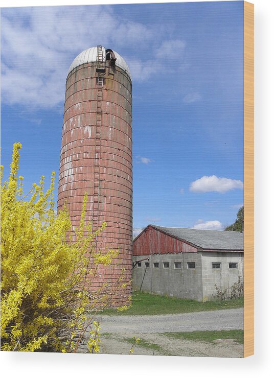 Farm Landscape Wood Print featuring the photograph Spring Time Back In Time by Kim Galluzzo