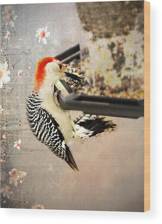 Bird Wood Print featuring the photograph Woodpecker by Kathy Jennings