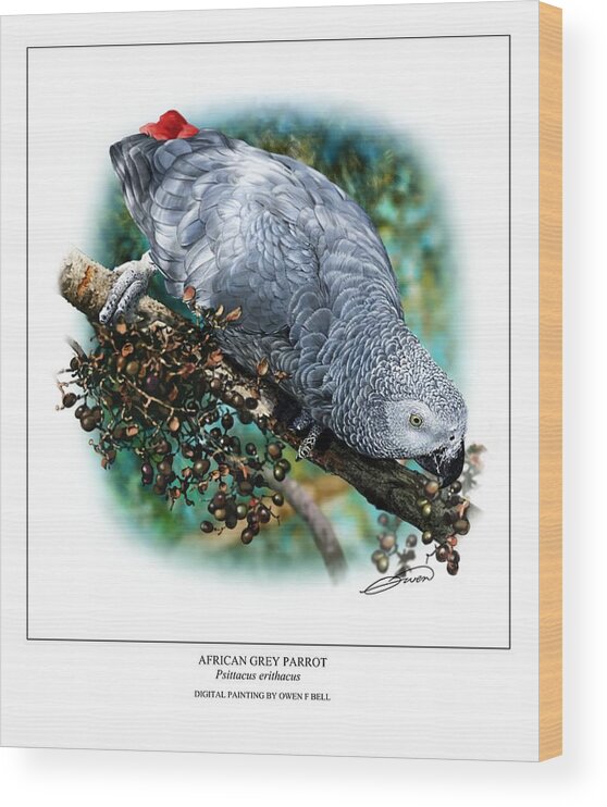 Bird Wood Print featuring the digital art African Grey Parrot #1 by Owen Bell