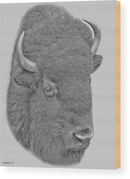 American Bison Wood Print featuring the digital art American Bison #1 by Larry Linton