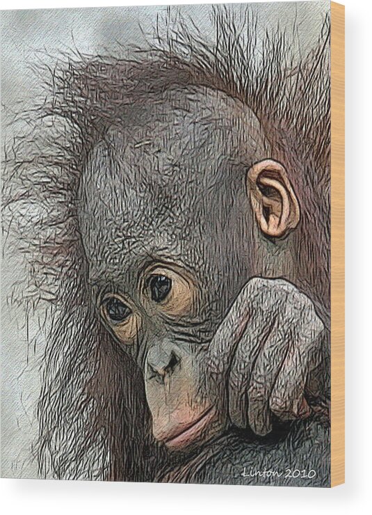 Orangutan Wood Print featuring the digital art Bad Hair Day #1 by Larry Linton