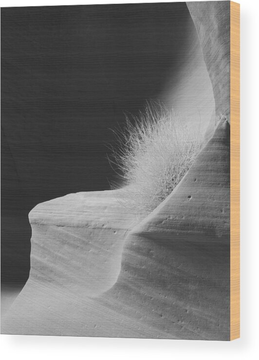 Canyon Wood Print featuring the photograph Canyon X - Navajo Lands #1 by Carl Amoth