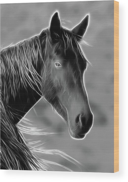 Horse Wood Print featuring the photograph Equine #1 by Steve McKinzie