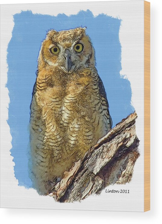 Great Horned Owl Wood Print featuring the digital art Great Horned Owl Fledgling #1 by Larry Linton