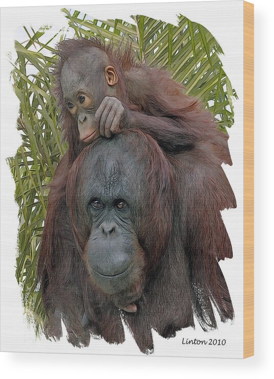 Orangutan Wood Print featuring the digital art Mother And Child #1 by Larry Linton