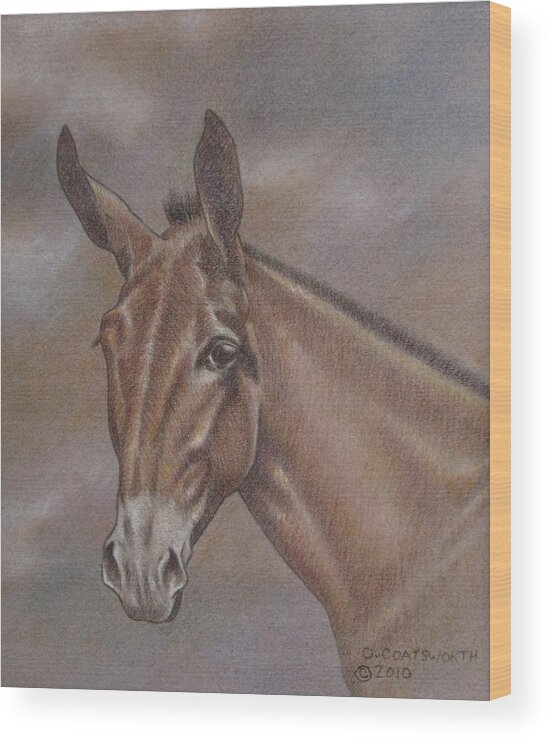  Wood Print featuring the pastel Mule Head #1 by Dorothy Coatsworth