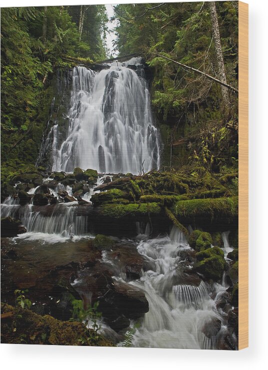 Waterfalls Wood Print featuring the photograph Yocum Falls Oregon #1 by Ulrich Burkhalter