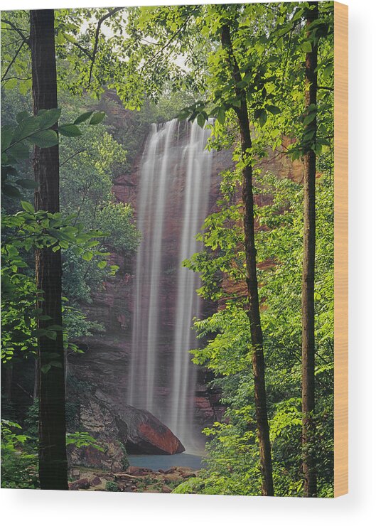  Wood Print featuring the photograph 148115-Toccoa Falls, GA by Ed Cooper Photography