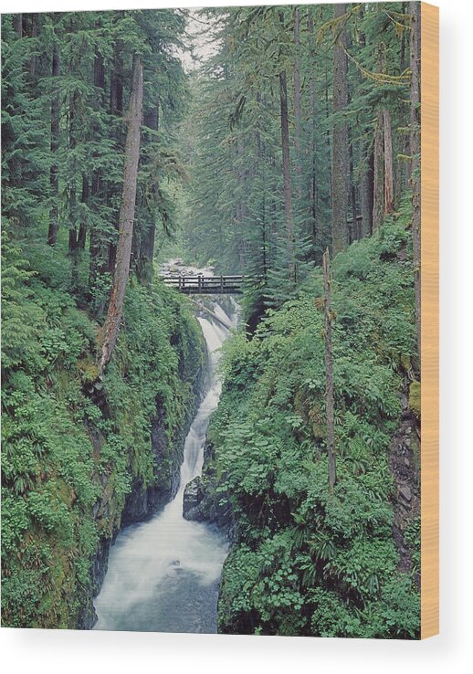 1m4075 Wood Print featuring the photograph 1M4075 Sol Duc Falls WA by Ed Cooper Photography