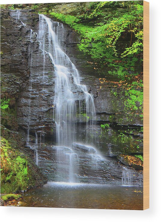 Bridal Veil Falls Wood Print featuring the photograph Bridal Veil Falls #2 by Raymond Salani III