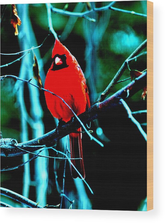 Akeview Wood Print featuring the digital art Northern Cardinal #2 by Aron Chervin