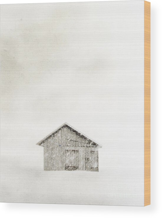 Snowstorm Wood Print featuring the photograph Snowstorm #2 by Edward Fielding