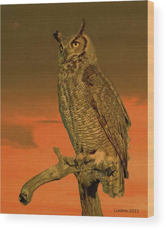 Great Horned Owl Wood Print featuring the photograph Great Horned Owl #4 by Larry Linton