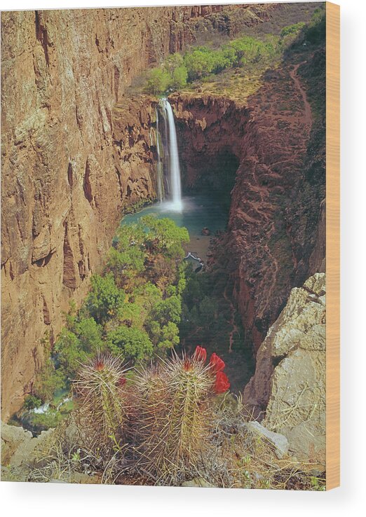 513216 Wood Print featuring the photograph 513216 Mooney Falls AZ by Ed Cooper Photography