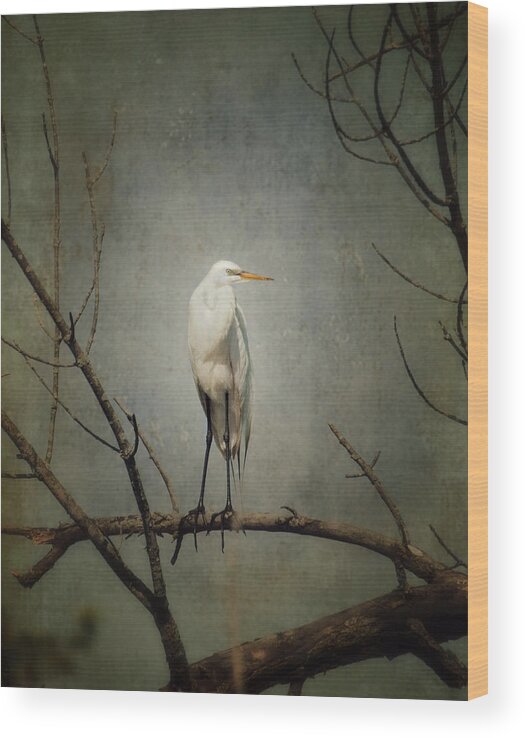 Great Egret Wood Print featuring the photograph A Great Egret by Al Mueller