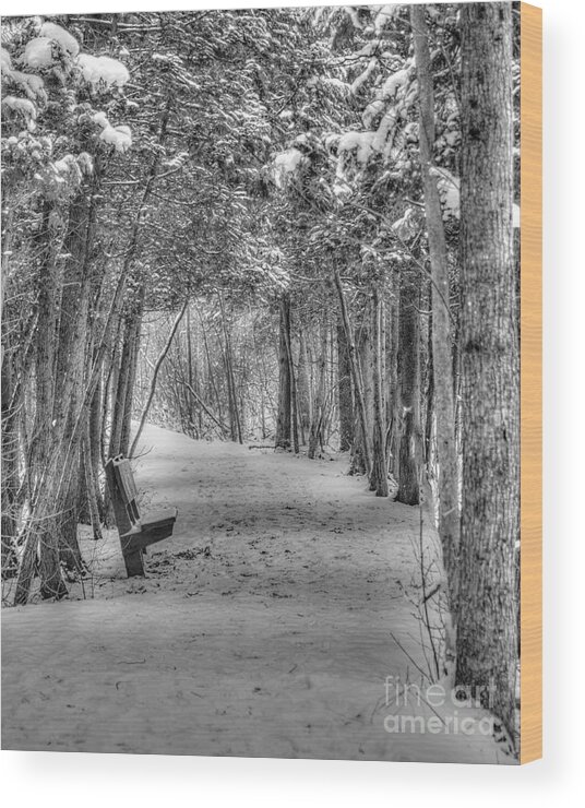 Beaver Lake Wood Print featuring the photograph A Place to Rest by Rod Best