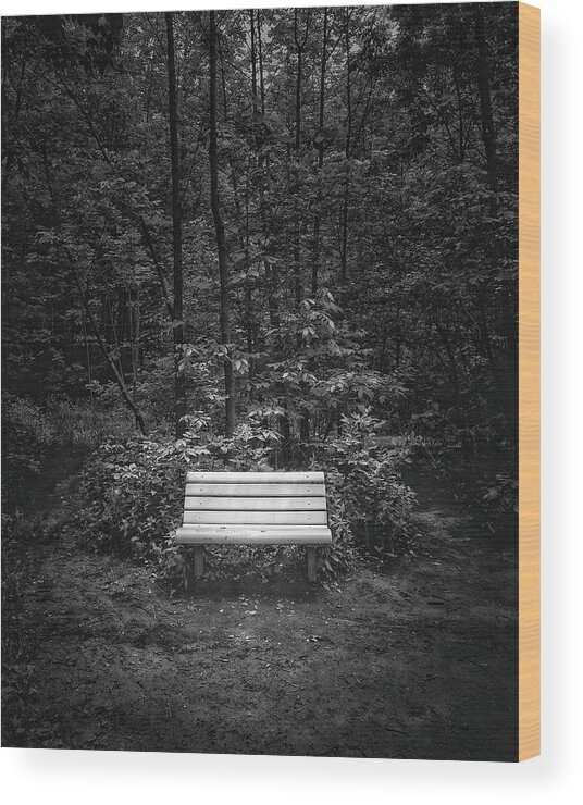 Black And White Wood Print featuring the photograph A Place to Sit by Scott Norris