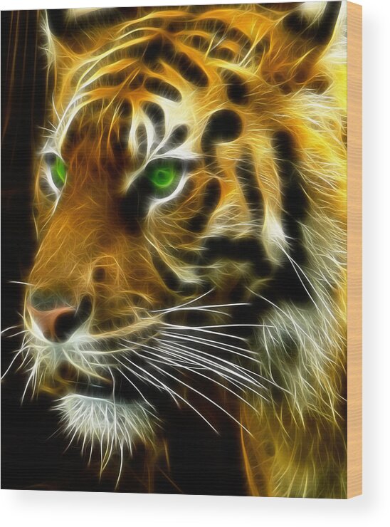 Bengal Wood Print featuring the photograph A Tiger's Stare by Ricky Barnard