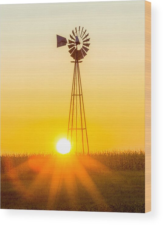 Amish Decor Wood Print featuring the photograph Aermotor Sunset Vertical by Chris Bordeleau