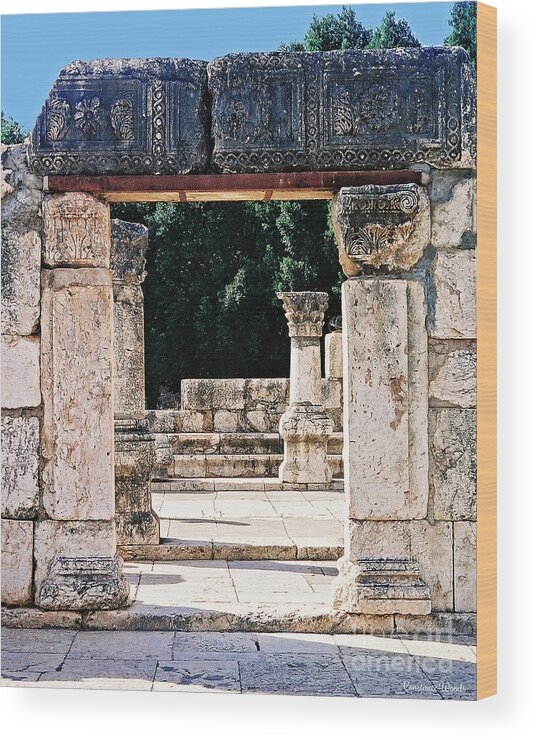 Israel Wood Print featuring the photograph Ancient Doors by Constance Woods