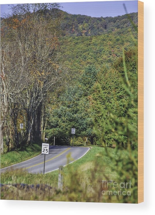 Autumn Wood Print featuring the photograph Autumn Along Glade Road by Kerri Farley