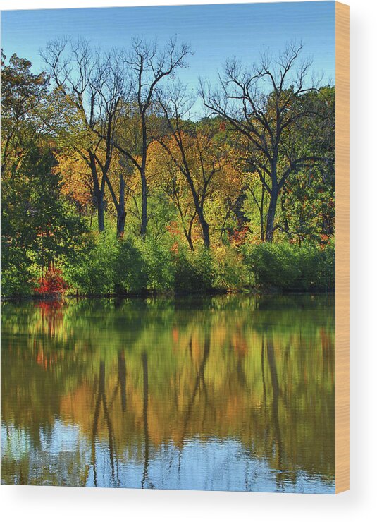 Salt Creek Wood Print featuring the photograph Autumn Reflections on Salt Creek III by Ira Marcus