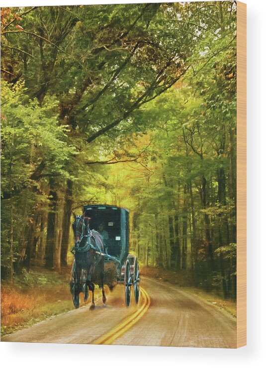 Amish Wood Print featuring the photograph Autumn Ride by Jolynn Reed