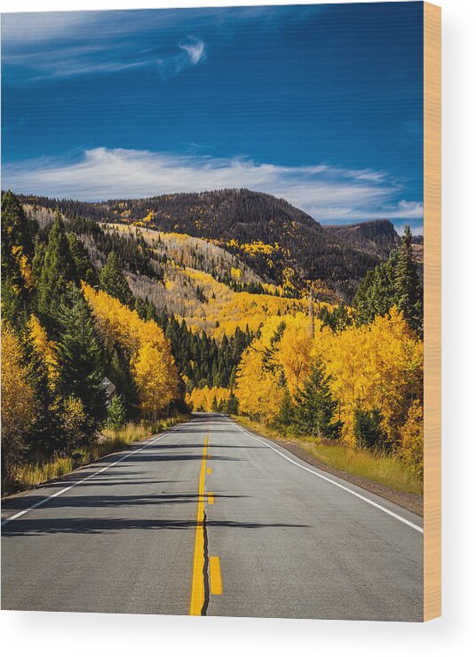 New Mexico Wood Print featuring the photograph Autumn Rockies by Ron Pate