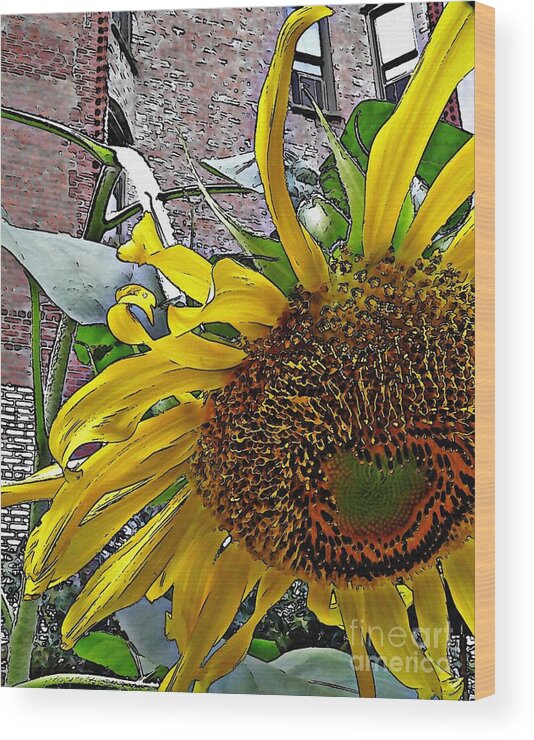 Sunflower Wood Print featuring the photograph Barrio Sunflower 3 by Sarah Loft