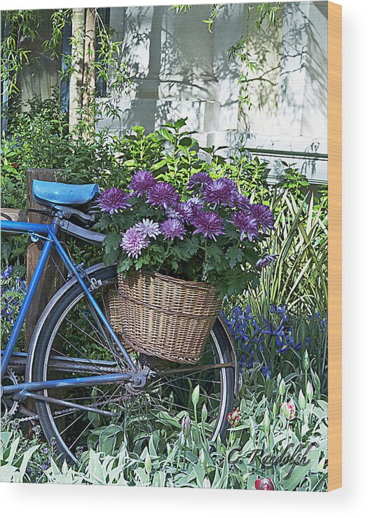 Blue Bike Wood Print featuring the photograph Blue Bike by Cheri Randolph