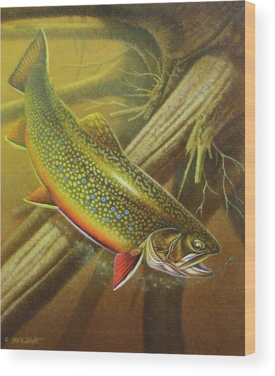 Jon Q Wright Brook Trout Fly Fishing Fly Fish Fishing Nymph Stream River Lake Wood Print featuring the painting Brook Trout Cover by JQ Licensing