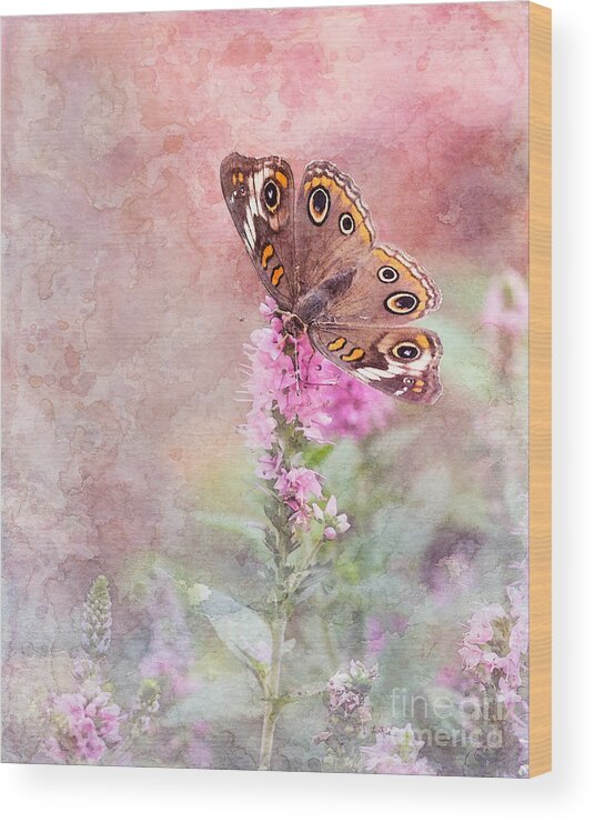 Common Buckeye Butterfly Wood Print featuring the photograph Buckeye Bliss by Betty LaRue