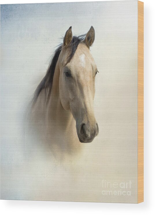 Horse Wood Print featuring the photograph Buckskin Beauty by Betty LaRue