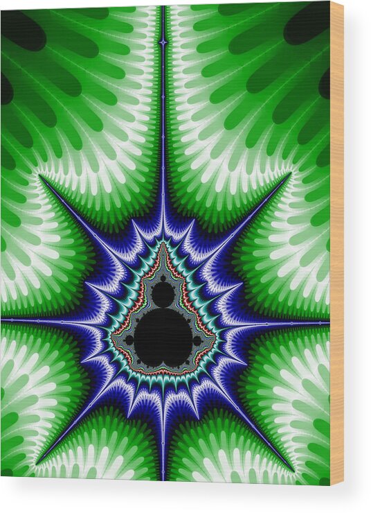 Fractal Wood Print featuring the digital art Buddha Star 2 by Robert E Alter Reflections of Infinity