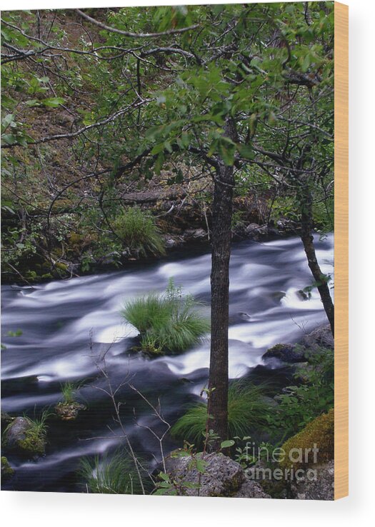 River Wood Print featuring the photograph Burney Creek by Peter Piatt