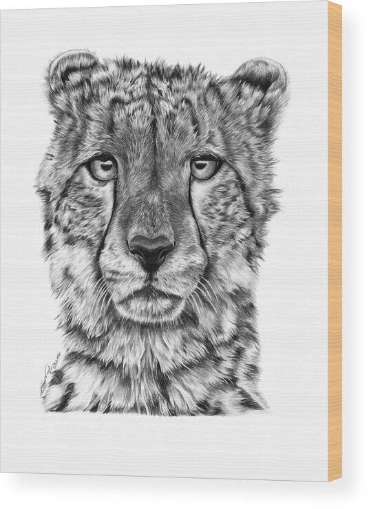 Cheetah Wood Print featuring the drawing Cassandra the Cheetah by Abbey Noelle