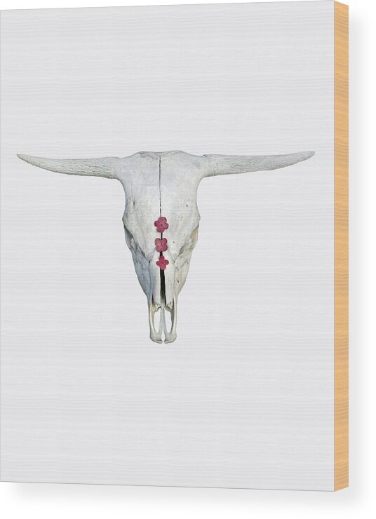 White Cow Skull Art Wood Print featuring the photograph Cattle Skull with Pink Hydrangea Blossoms on White by Brooke T Ryan