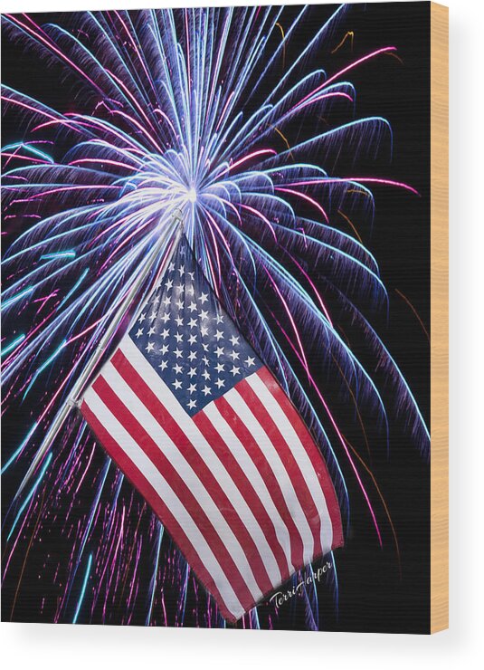 Independence Day Wood Print featuring the photograph Celebration of Freedom by Terri Harper