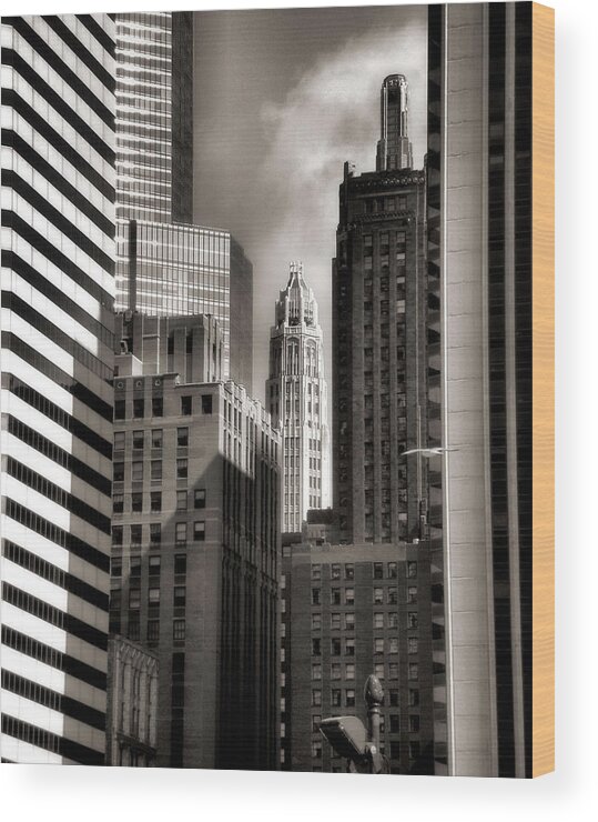 Chicago Architecture Wood Print featuring the photograph Chicago Architecture - 13 by Ely Arsha