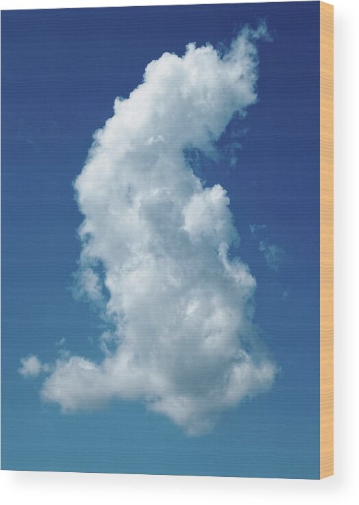 Billowy Wood Print featuring the photograph cloudscape No.17 by Tom Druin
