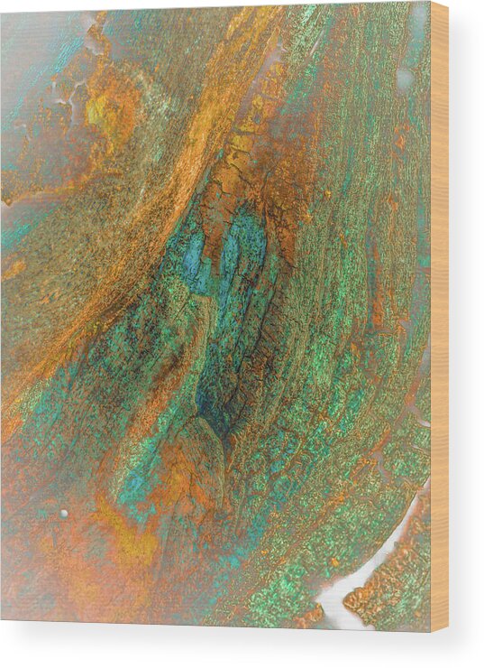 Abstract Wood Print featuring the photograph Color Vein Bark Abstract by Bruce Pritchett