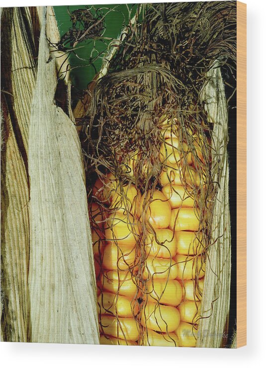  Wood Print featuring the photograph Corn Silk by Mark Dahmke