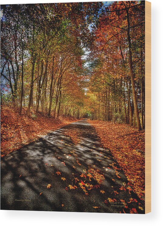 Mark T. Allen Wood Print featuring the photograph Country Road by Mark Allen