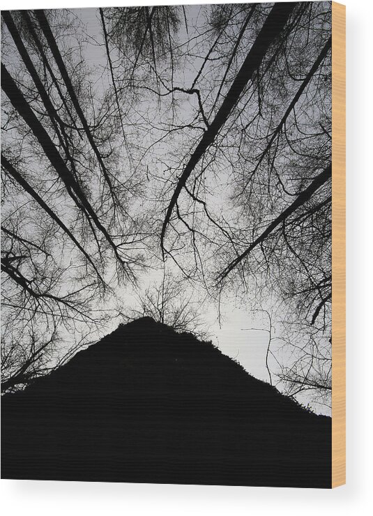 Trees Wood Print featuring the photograph Dark Shadows by Bob Cournoyer