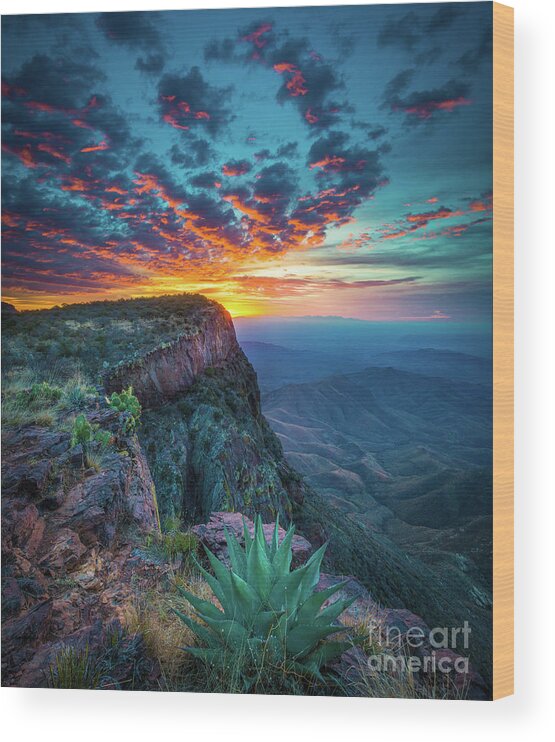 America Wood Print featuring the photograph Dawn in the Chisos by Inge Johnsson