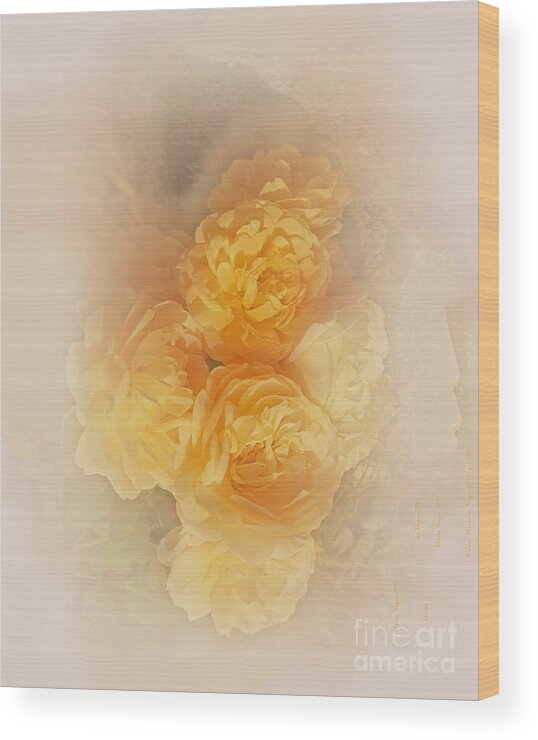 Flowers Wood Print featuring the photograph Dreamy Roses by Elaine Teague