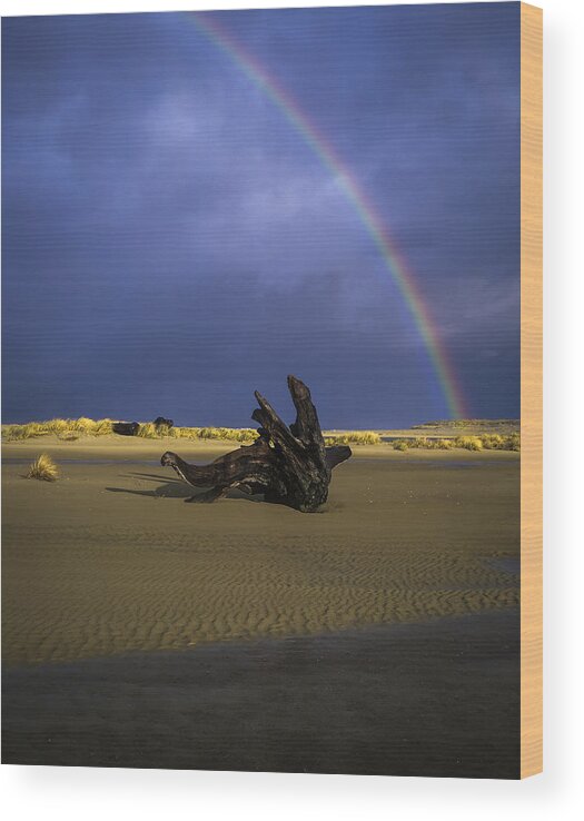 Beaches Wood Print featuring the photograph Driftwood and Rainbow by Robert Potts