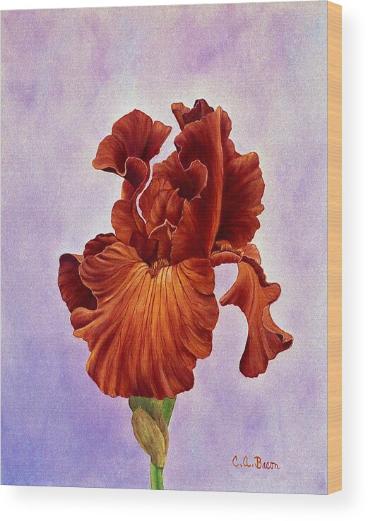 Iris Wood Print featuring the painting Dutch Chocolate Bearded Iris by Charlotte Bacon