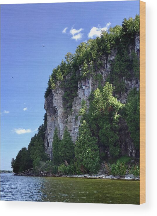 Eagle Bluff Wood Print featuring the photograph Eagle Bluff by David T Wilkinson